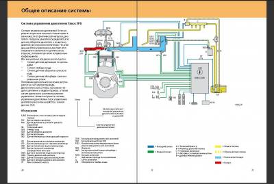 Skoda:   (SSP)