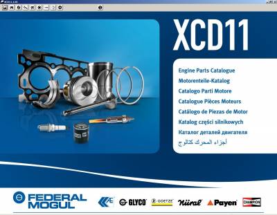 XCD11.1.01    Federal-Mogul (AE, Payen, Glyco, Nural, Goetze, Champion)